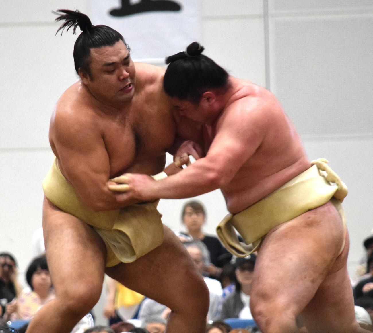 時疾風（右）と申し合い稽古をする霧島（撮影・山田遼太郎）