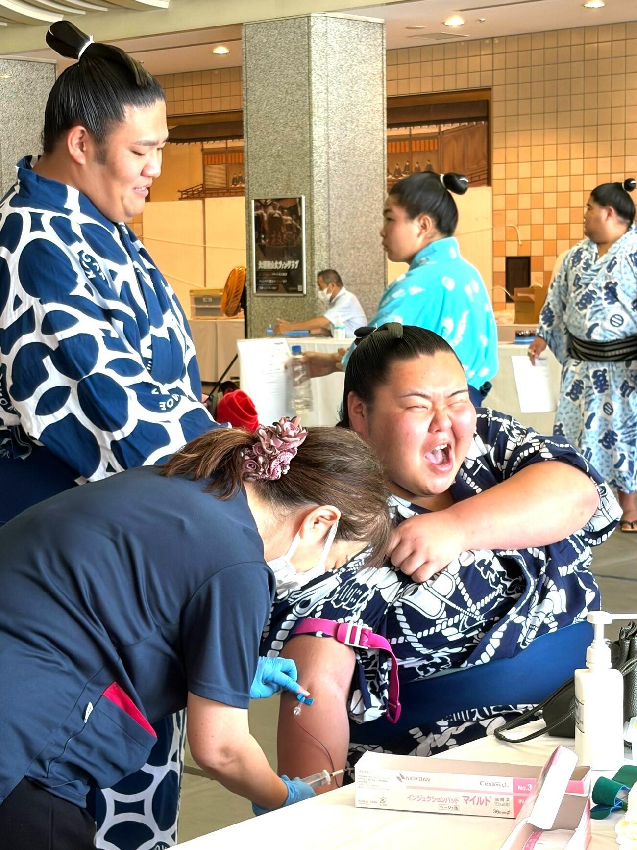 採血する千代福