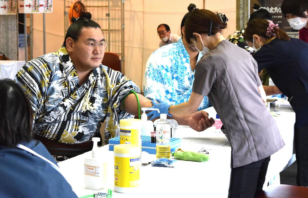 健康診断で採血する豊昇龍