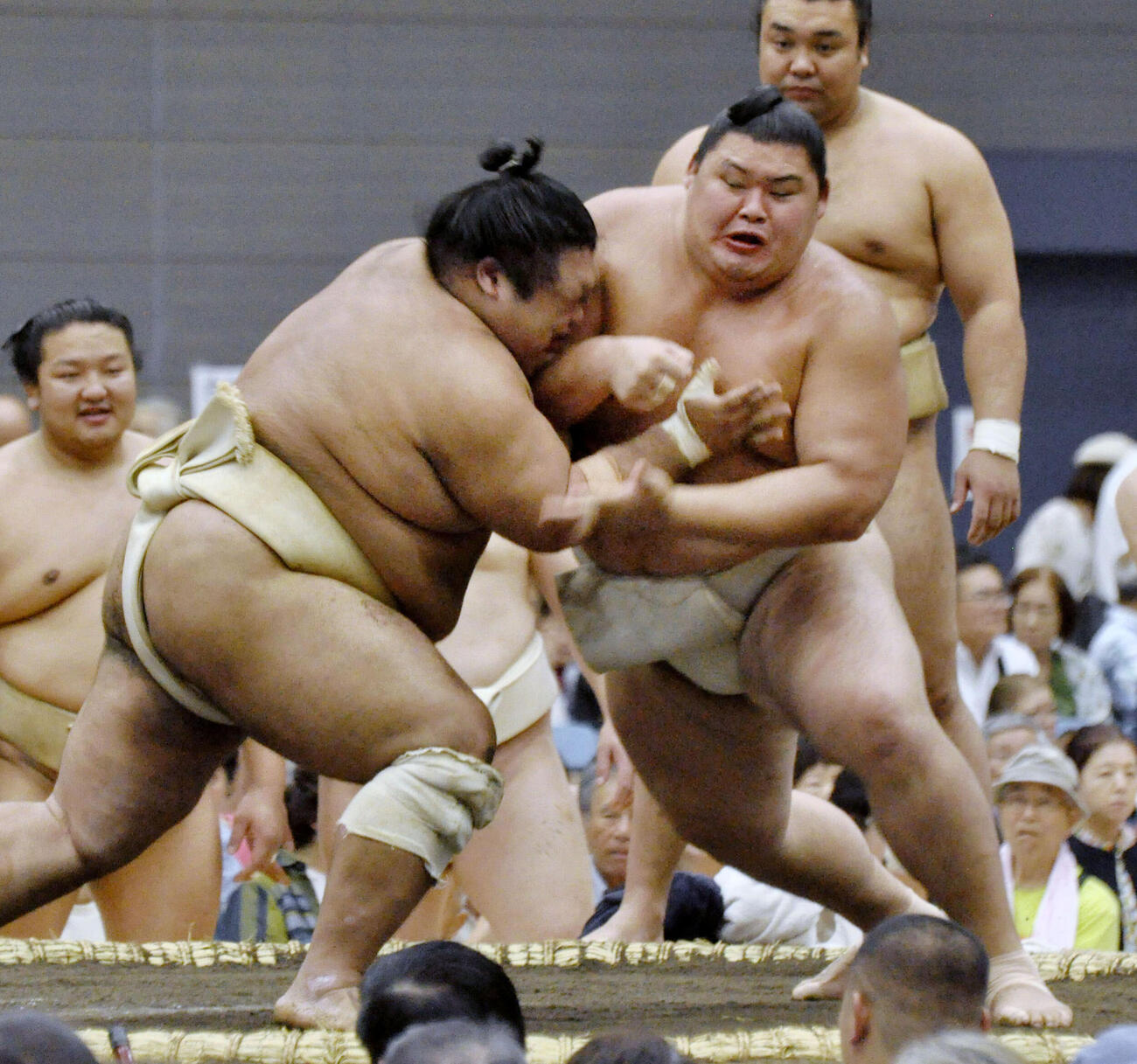 大相撲夏巡業の朝稽古で藤凌駕（左）と相撲を取る大の里（共同）