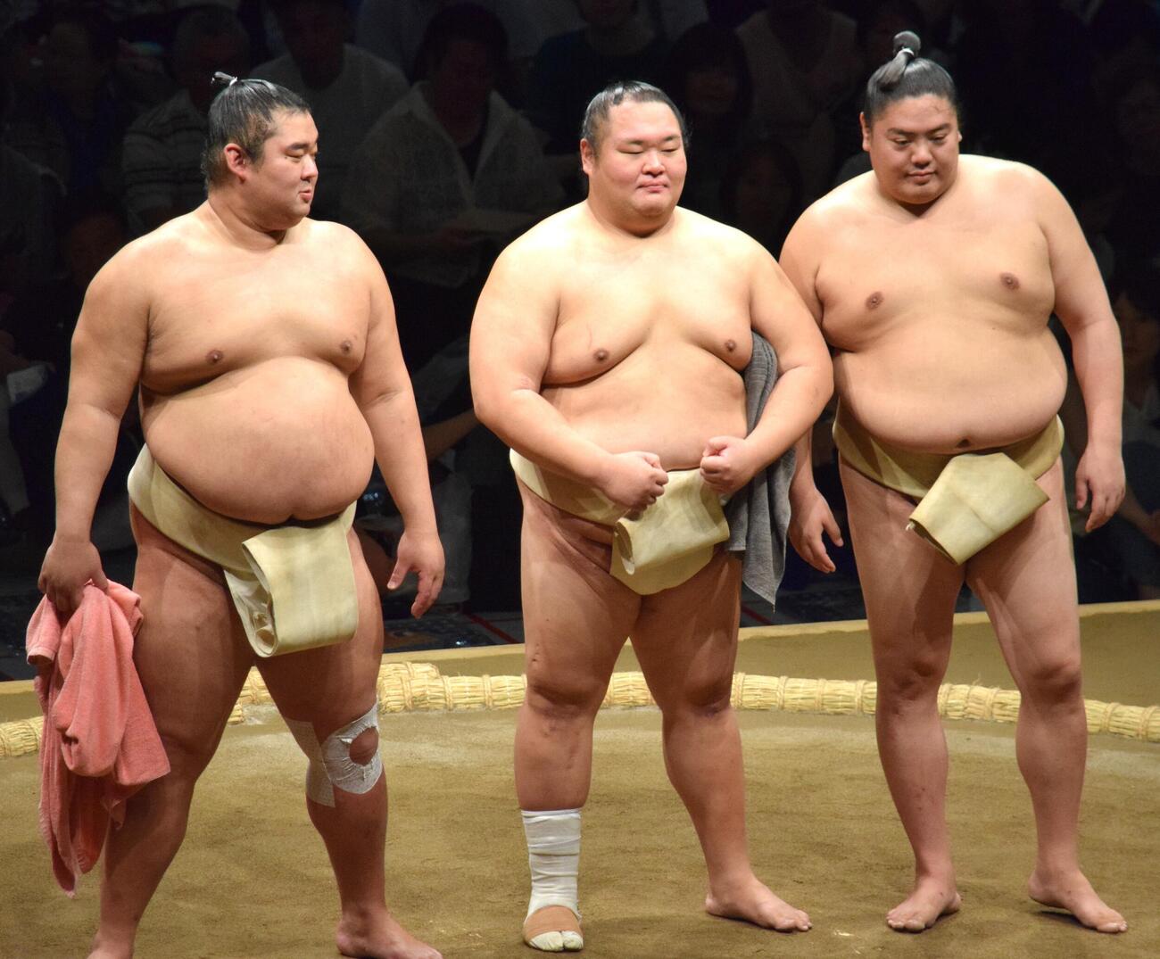 質問に答える、左から湘南乃海、友風、一山本