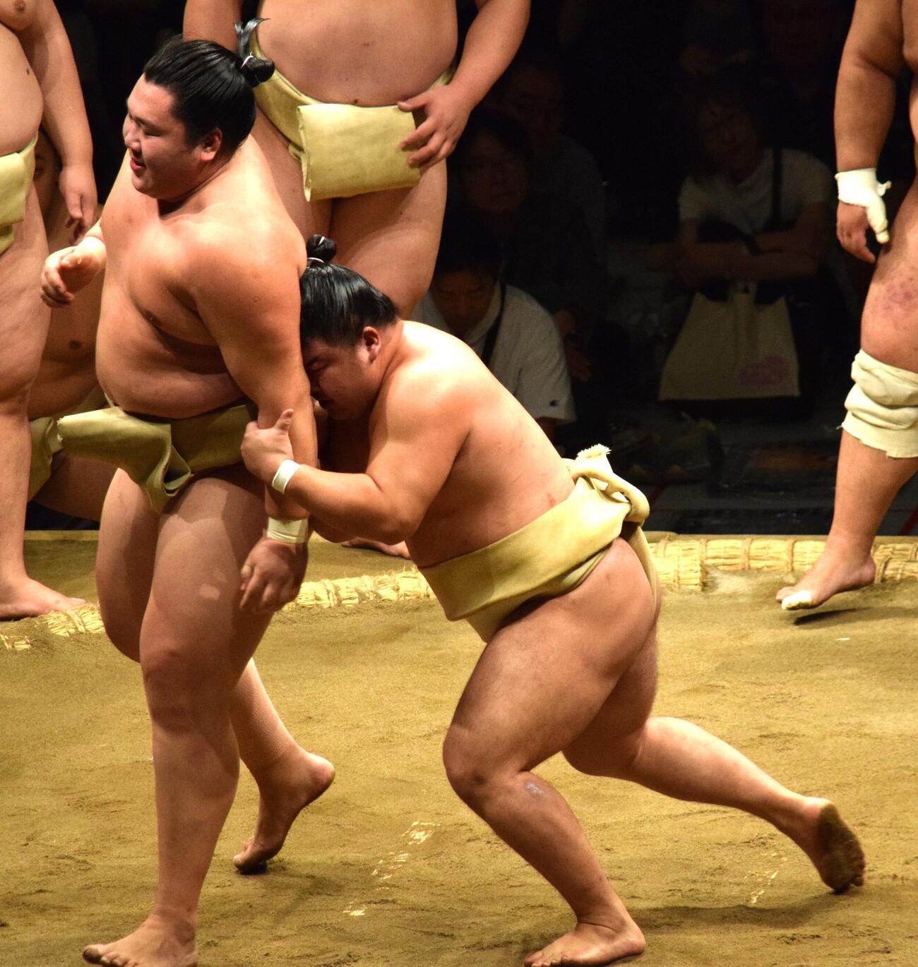 申し合い稽古をする藤ノ川（右）