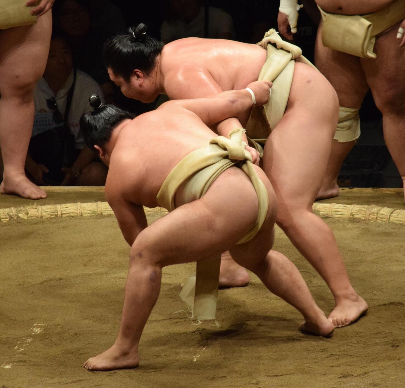 申し合い稽古をする藤ノ川（左）