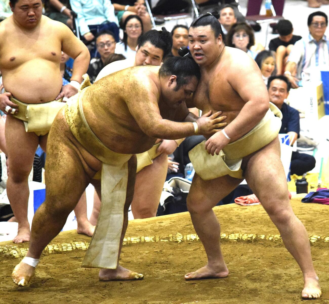 霧島（右）とのぶつかり稽古をする一意