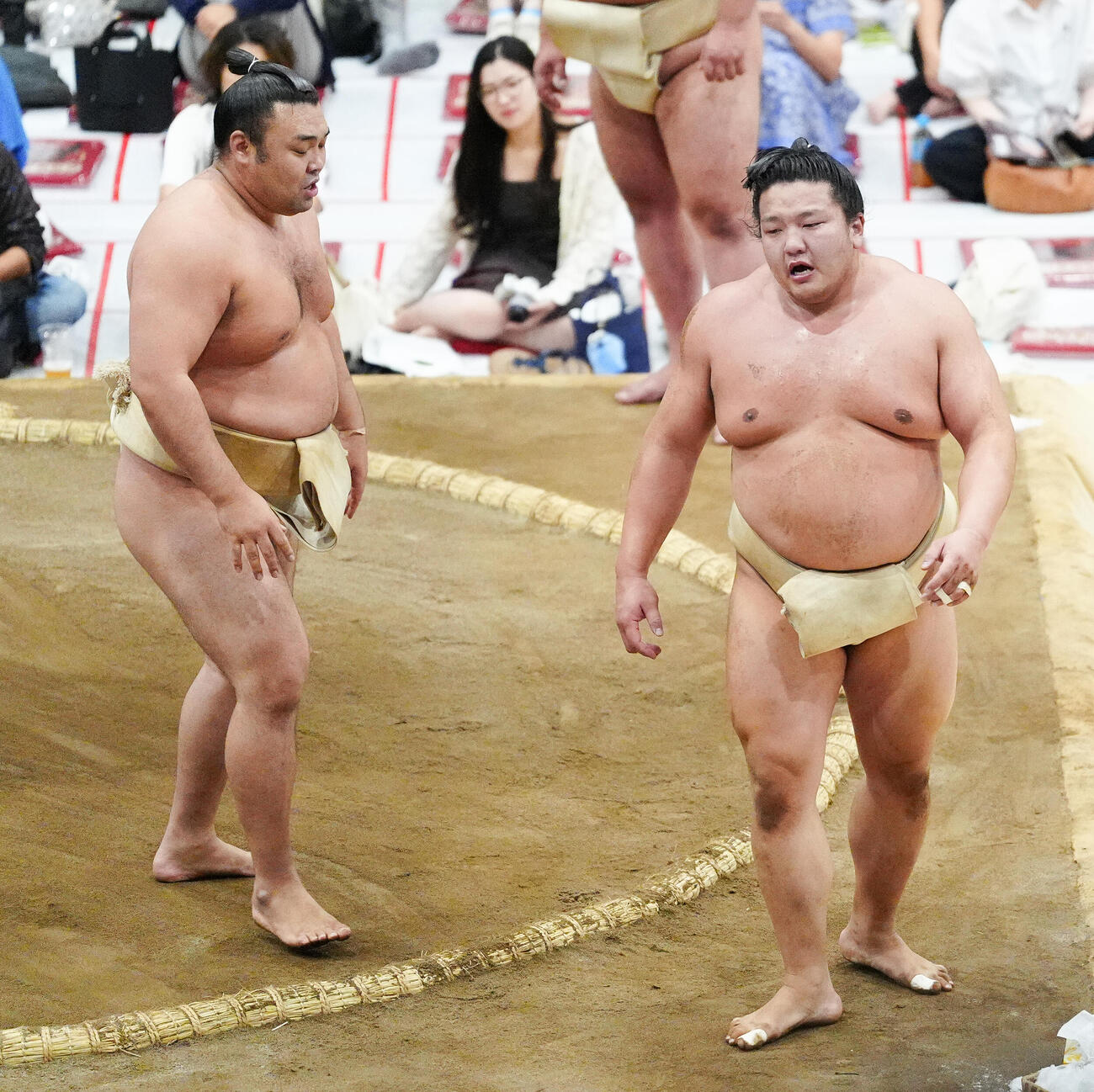 朝稽古で霧島（左）に胸を借りた朝白龍（撮影・鈴木みどり）