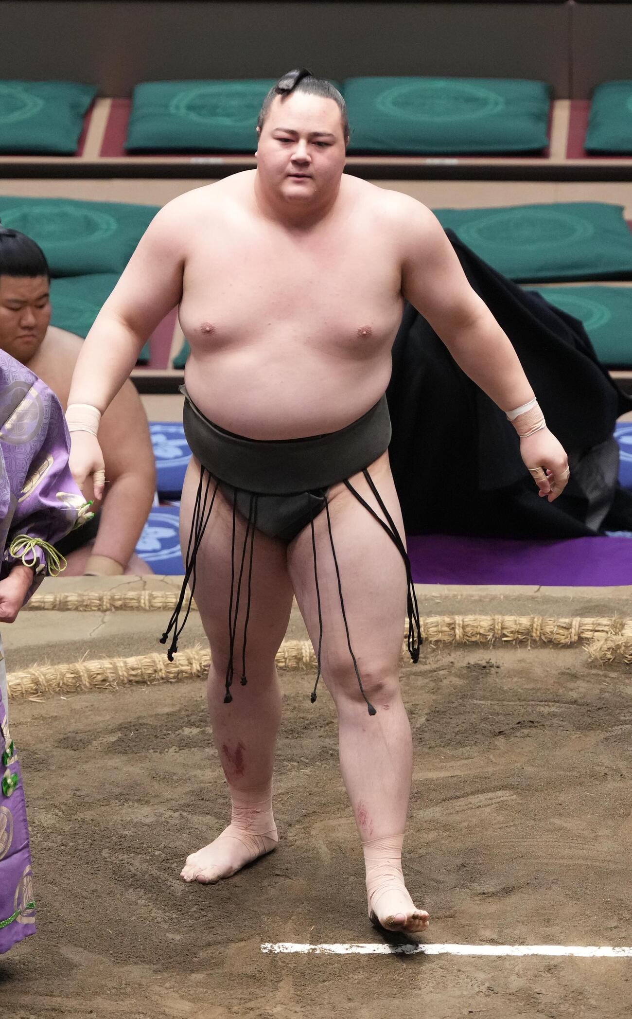 丹治（2026年5月撮影）