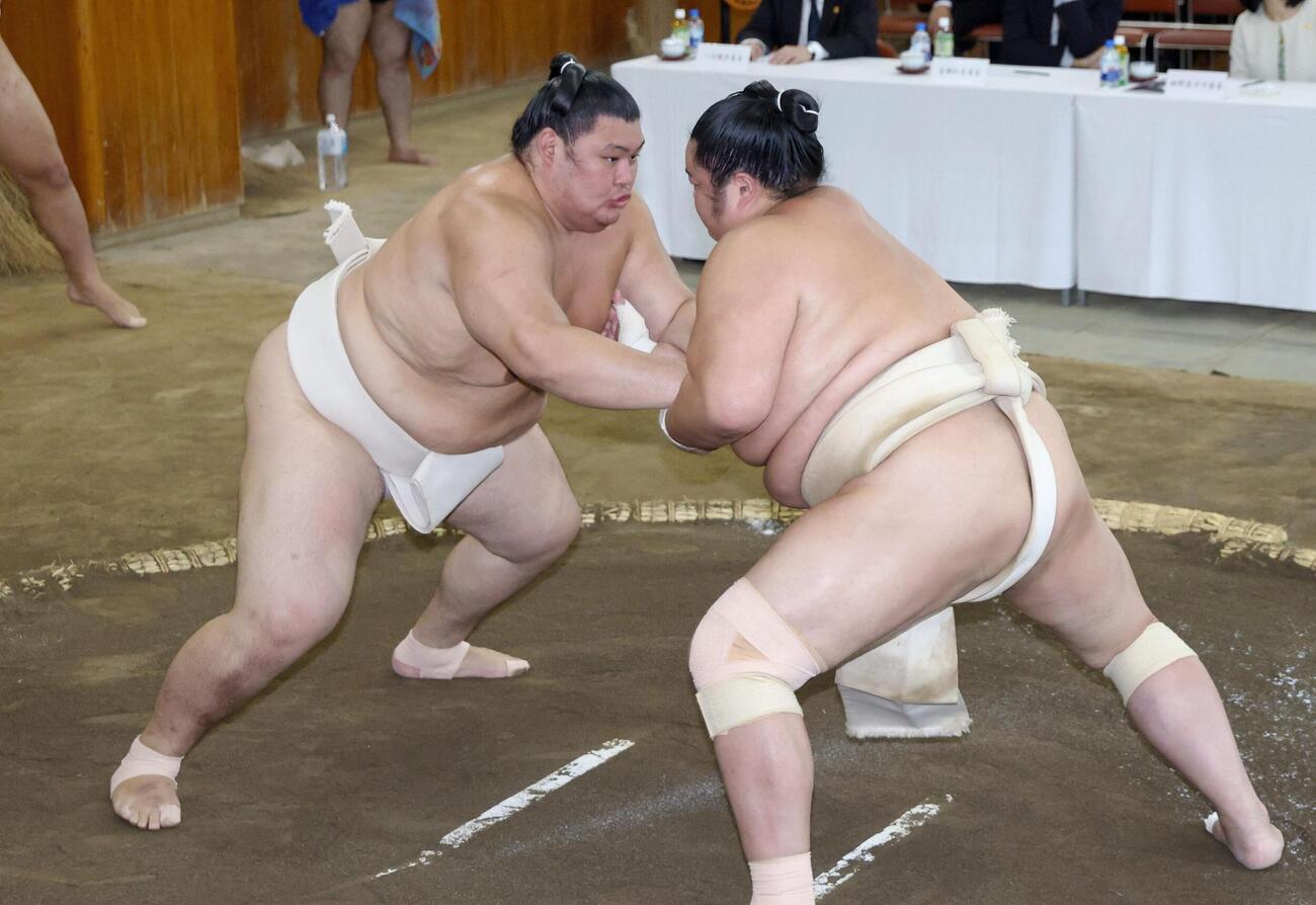 稽古総見で汗を流す大の里（左）（代表撮影）
