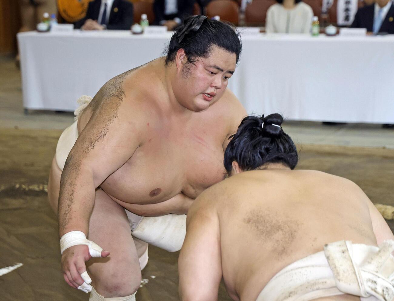 稽古総見で汗を流す琴桜（代表撮影）