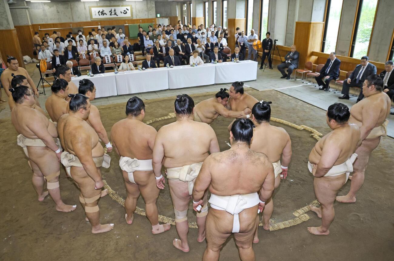 横綱審議委員会による稽古総見（代表撮影）