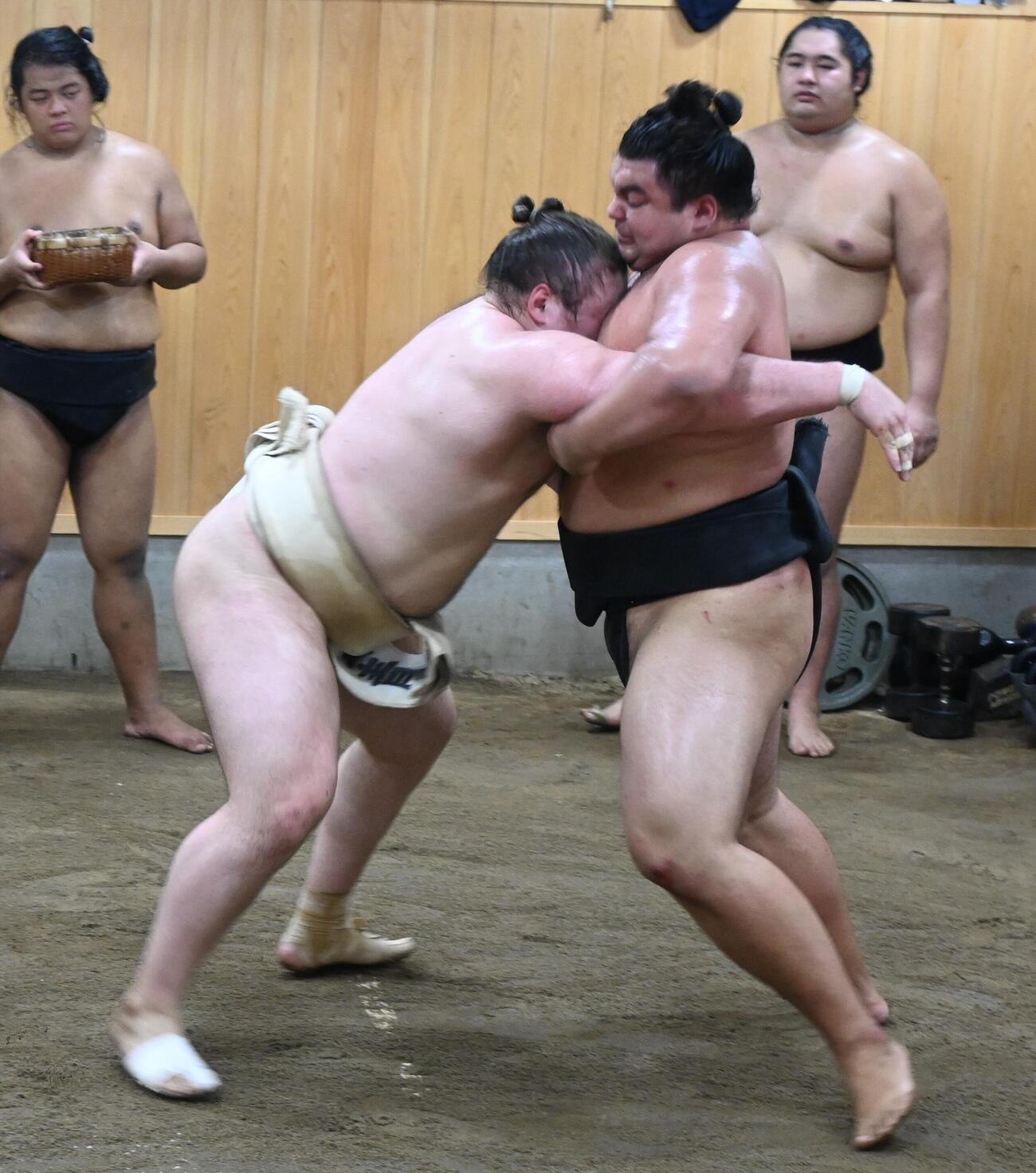 三段目の安強羅（右）と相撲を取る安青錦