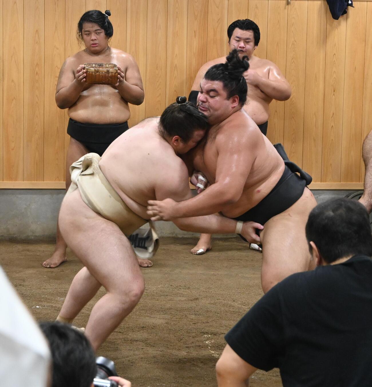 三段目の安強羅（右）と相撲を取る安青錦