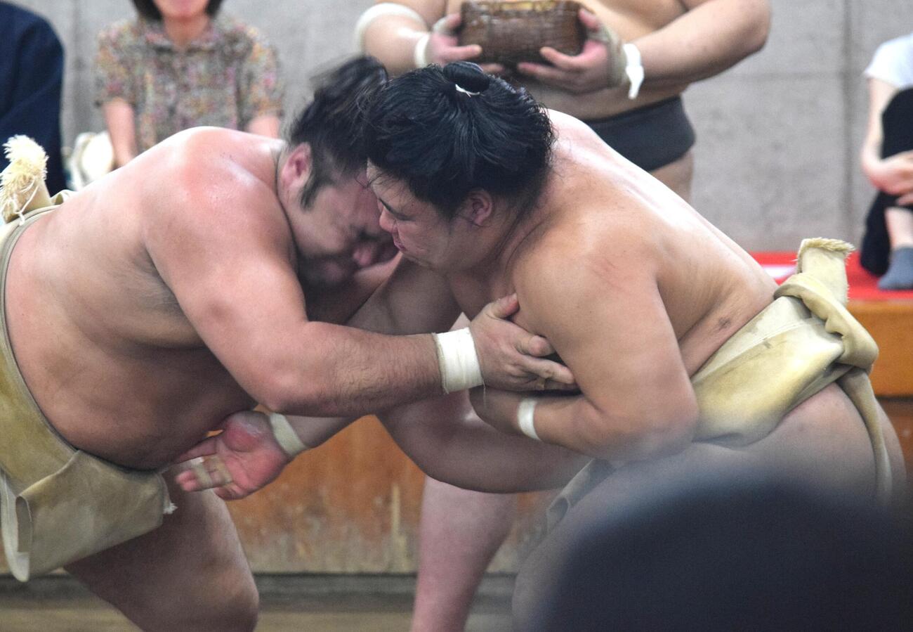 霧島（左）と稽古をする藤ノ川