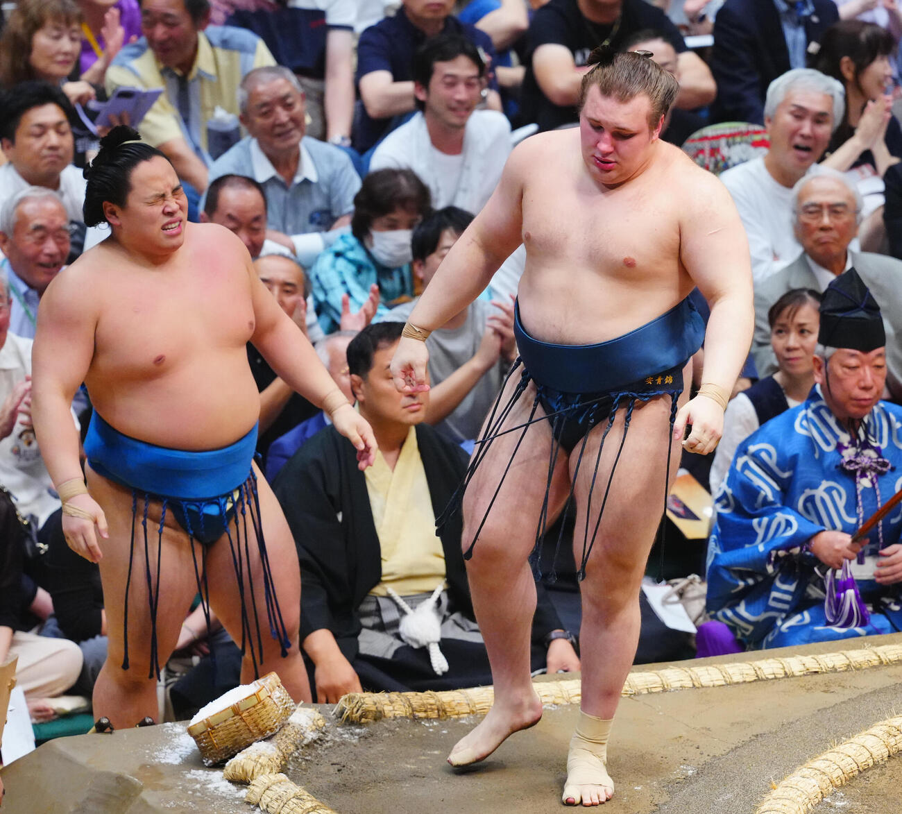 琴栄峰（左）を寄り切りで破る安青錦（撮影・垰建太）