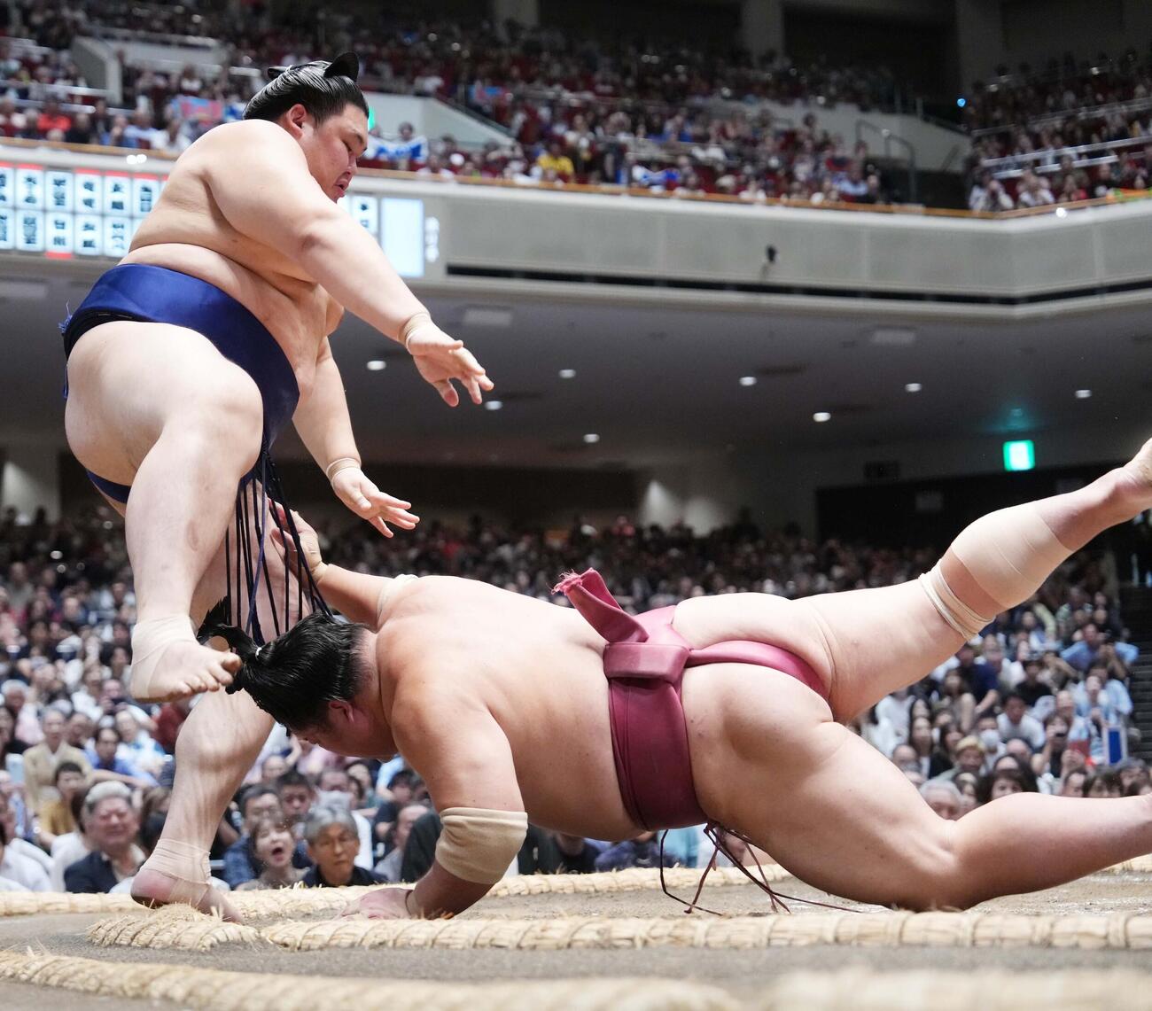 大の里（左）は大栄翔をはたき込みで下す（撮影・小沢裕）
