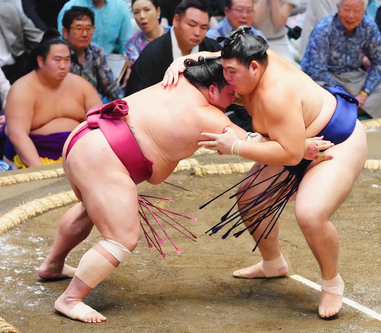 大栄翔（左）を叩き込みで下す大の里（撮影・垰建太）