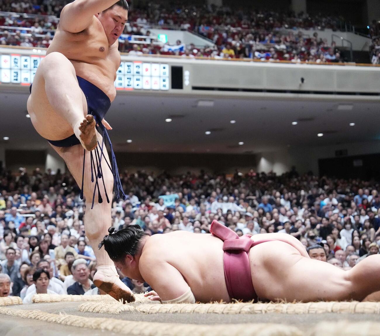 大の里（左）は大栄翔をはたき込みで下す（撮影・小沢裕）