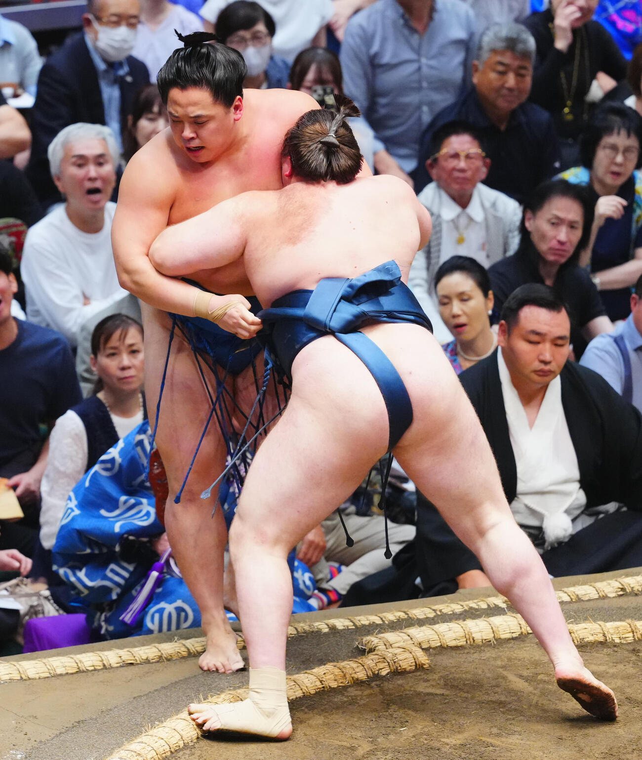 琴栄峰（左）を寄り切りで破る安青錦（撮影・垰建太）
