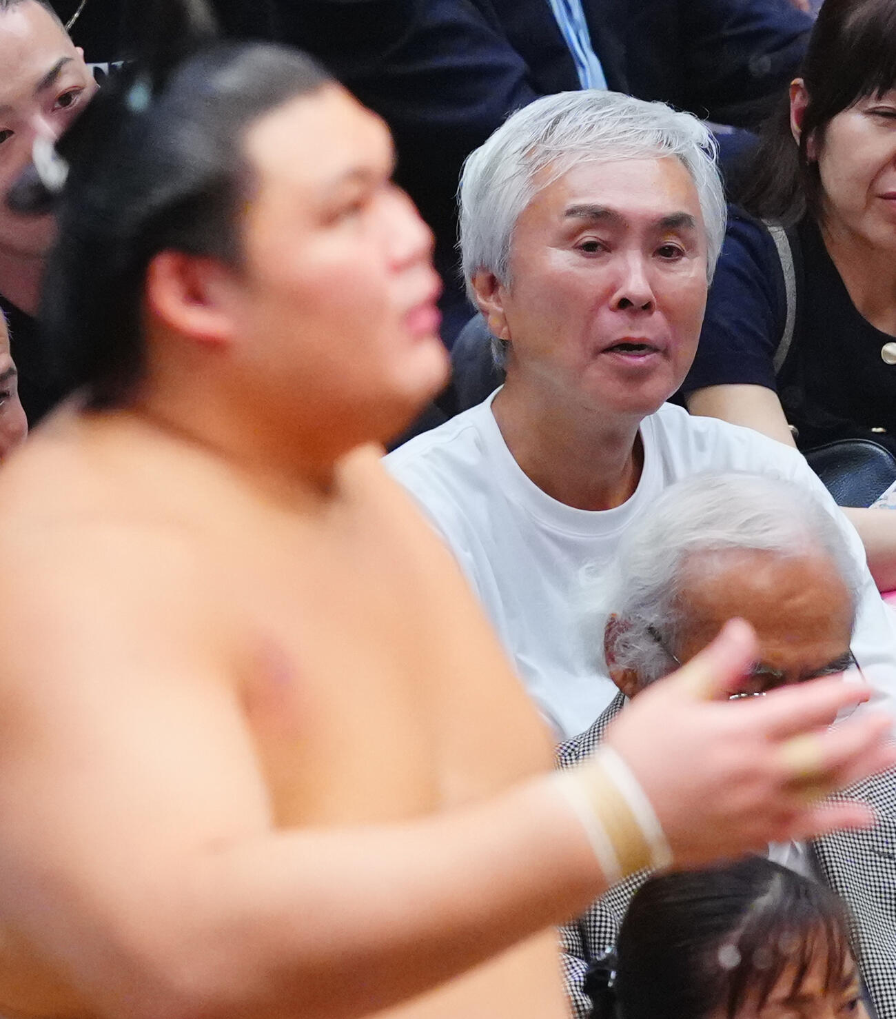 大の里を見つめる石原伸晃氏（2026年9月13日撮影）