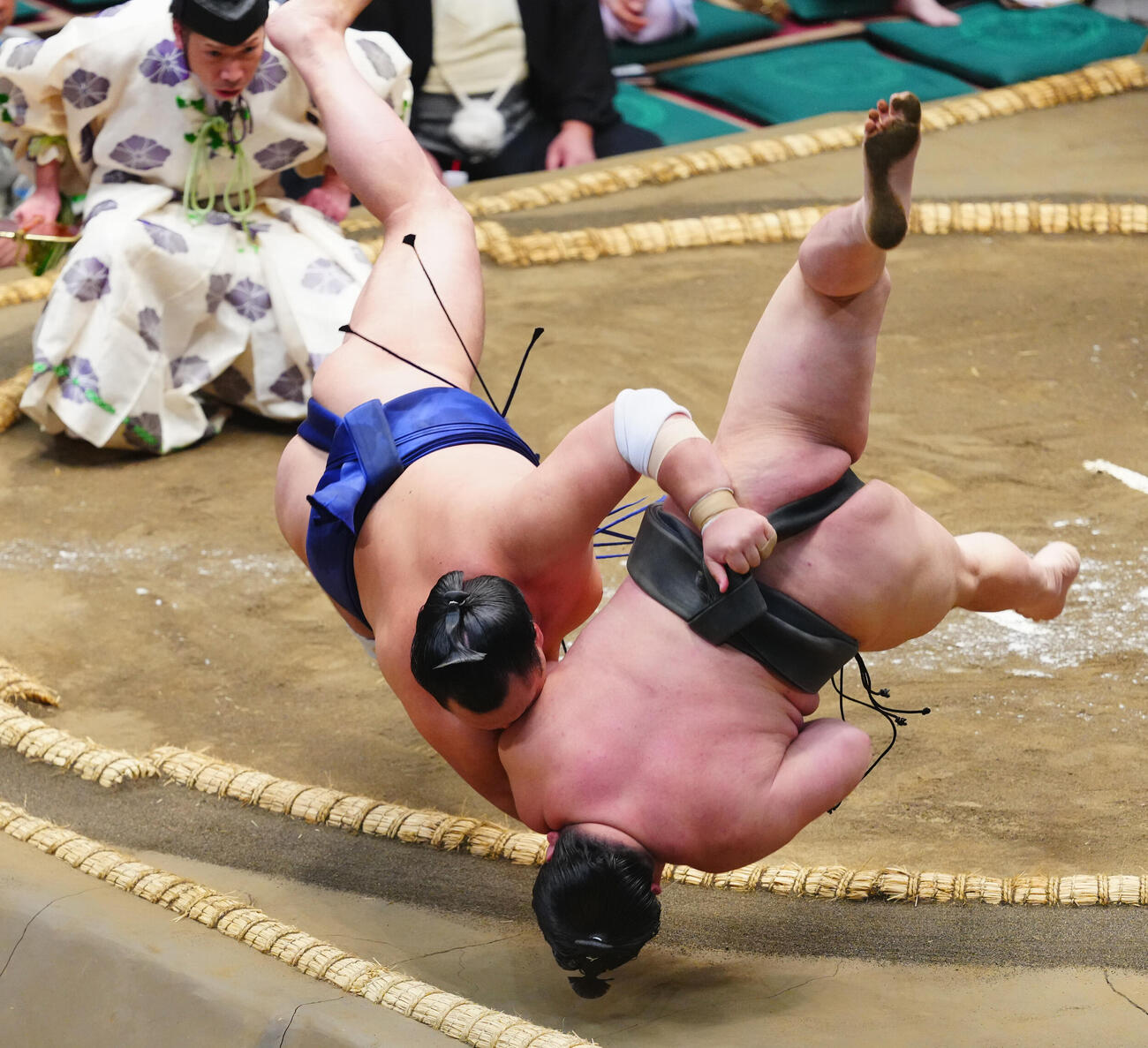 旭富士（右）を上手投げで破る栃大海（撮影・垰建太）