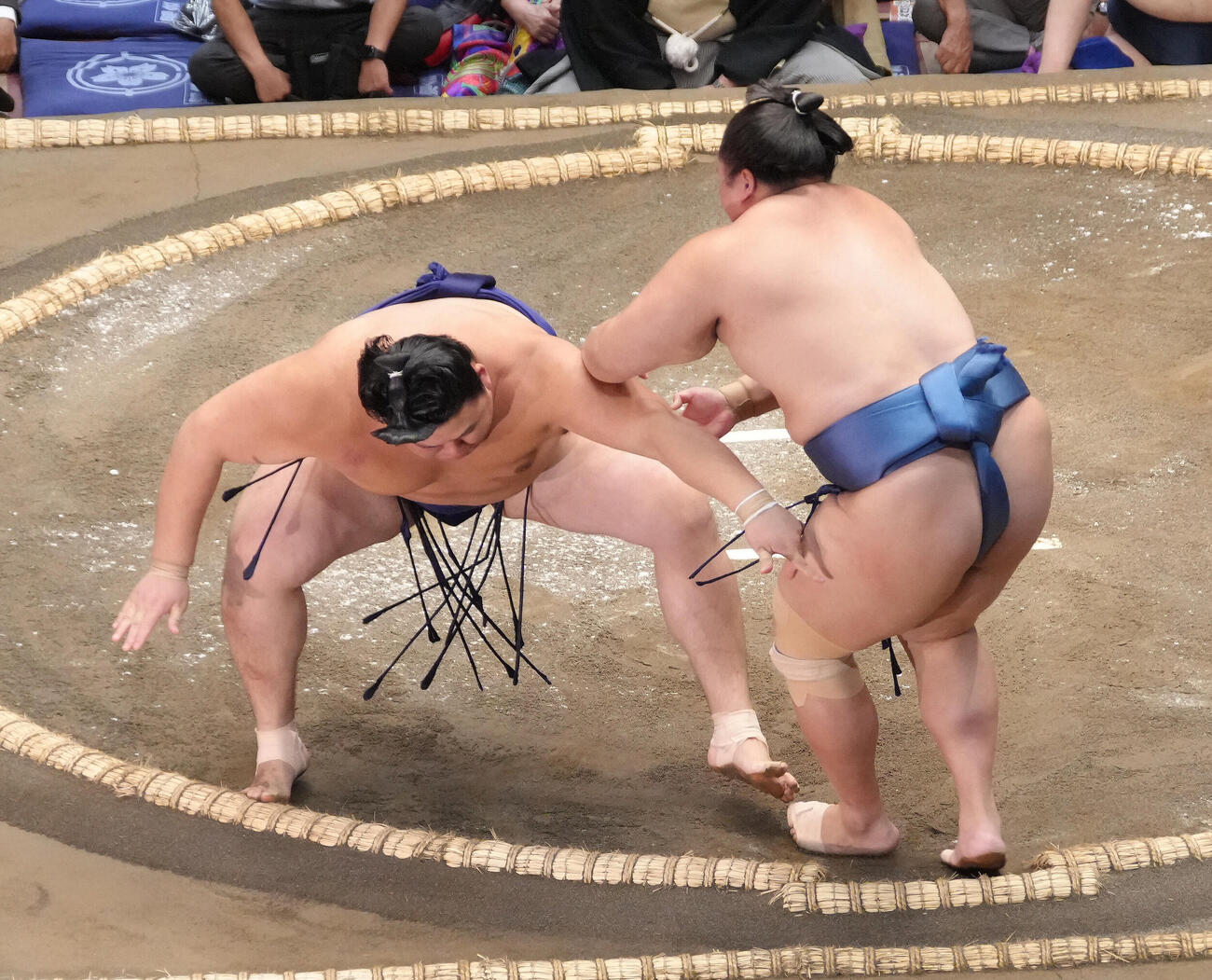 琴勝峰（右）を押し出しで下す大の里（撮影・足立雅史）