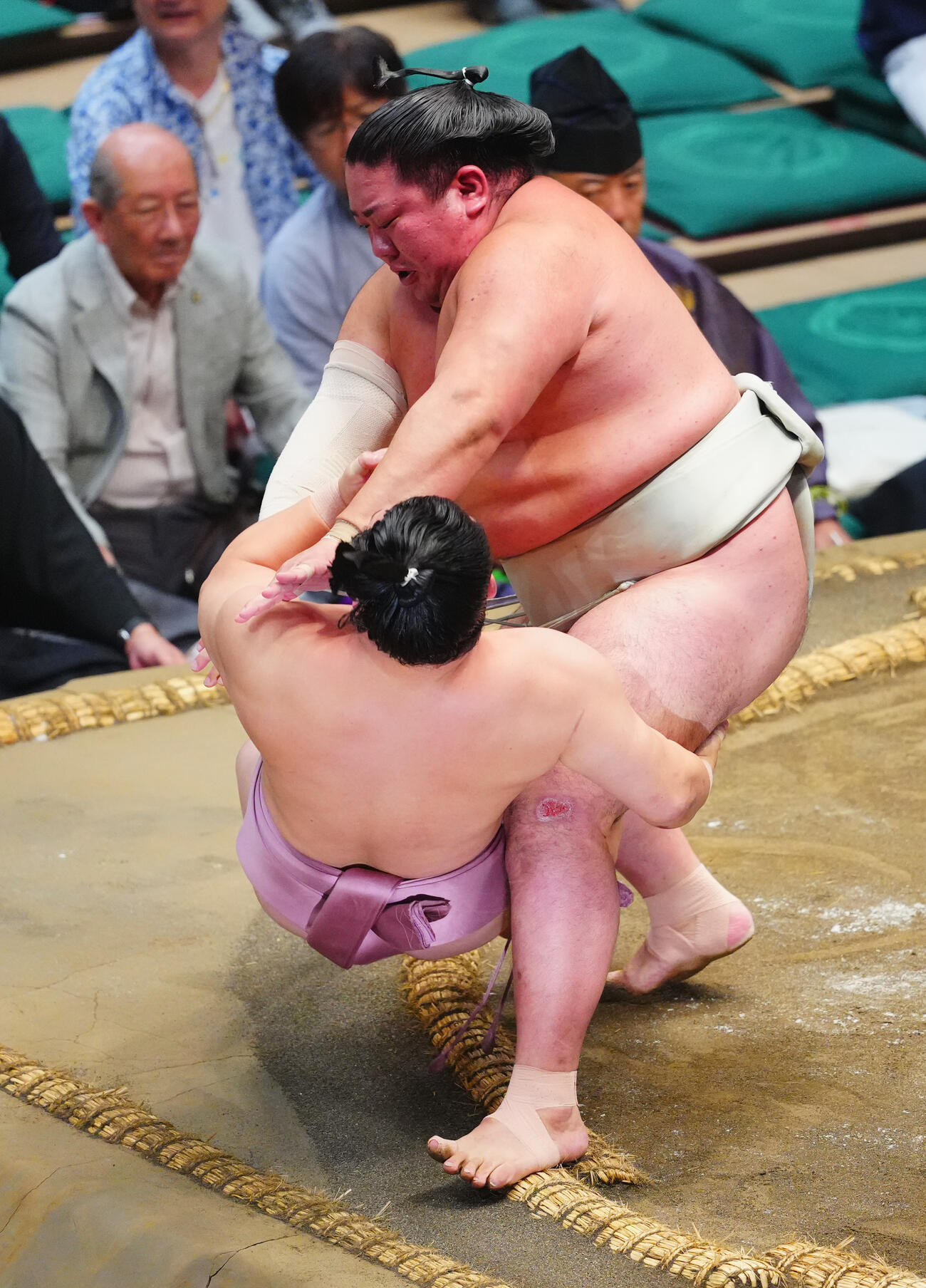 炎鵬（左）を押し倒しで破る日翔志（撮影・垰建太）