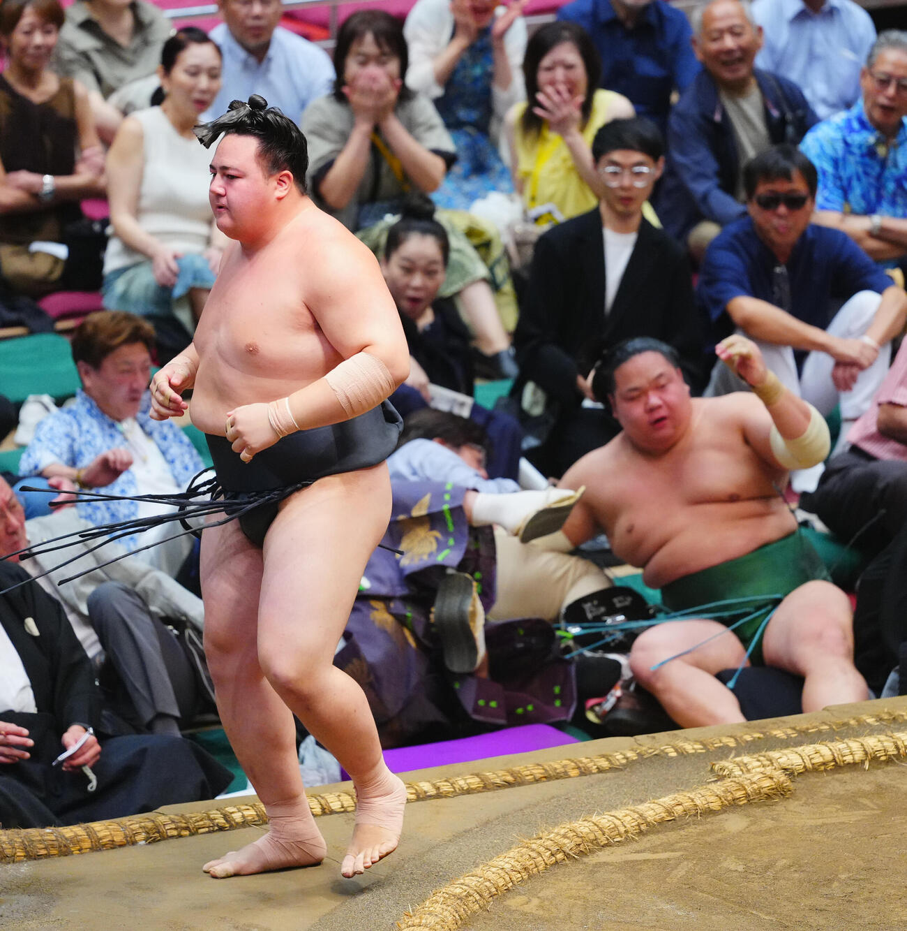 東白龍（右）を押し出しで破る丹治（撮影・垰建太）