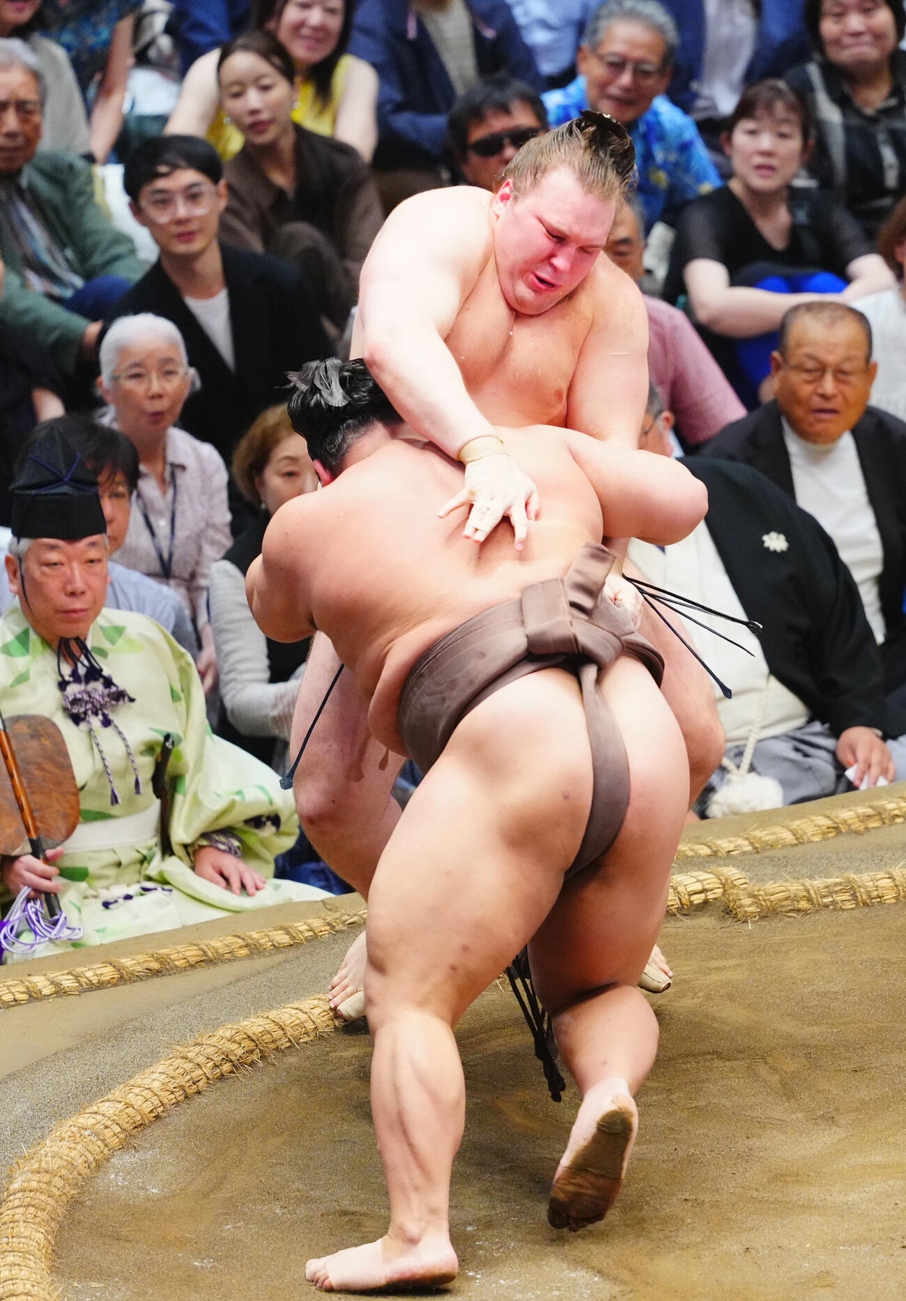 安青錦（奥）を押し出しで破る伯乃富士（撮影・垰建太）