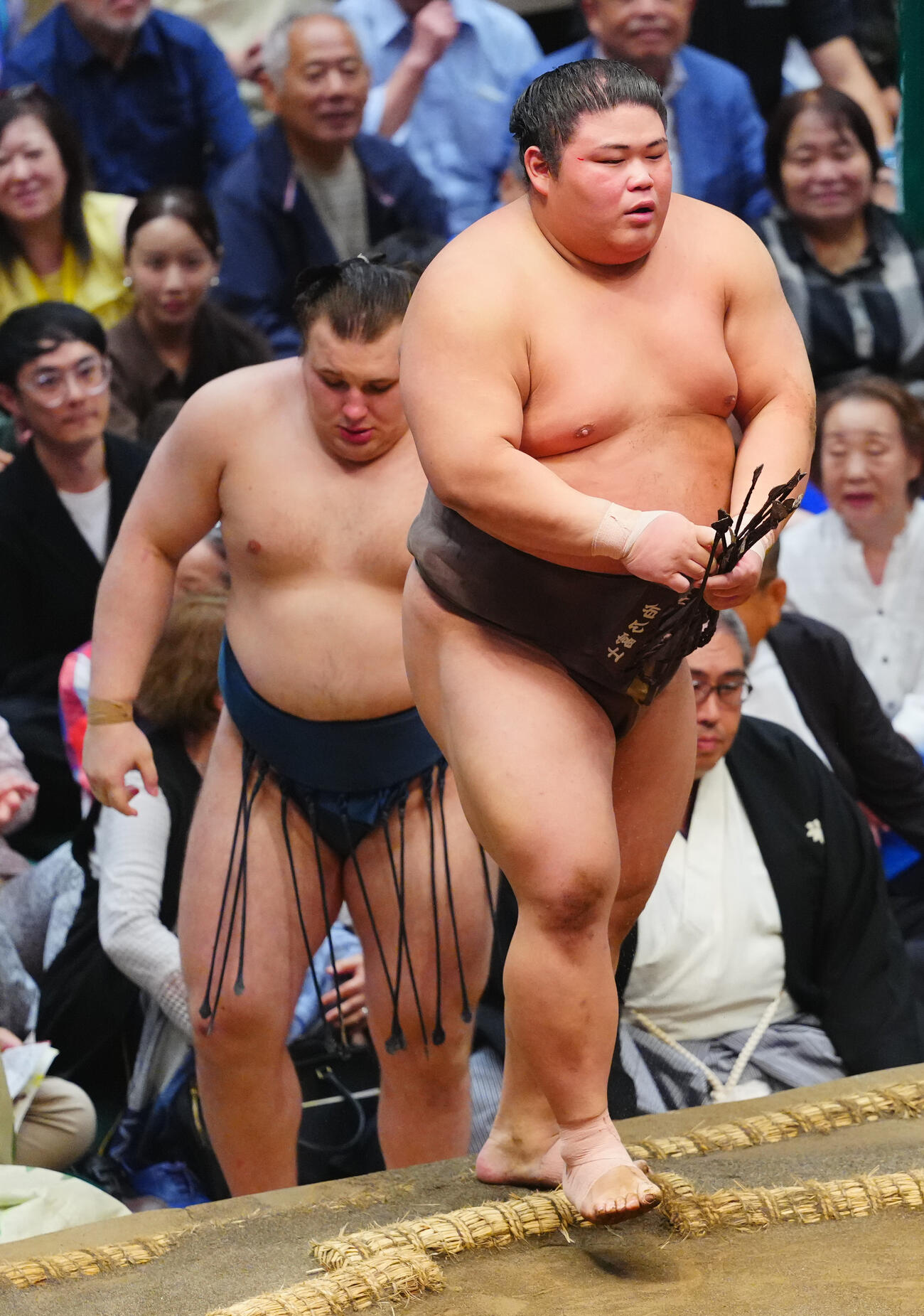 安青錦（左）を押し出しで破った伯乃富士（撮影・垰建太）