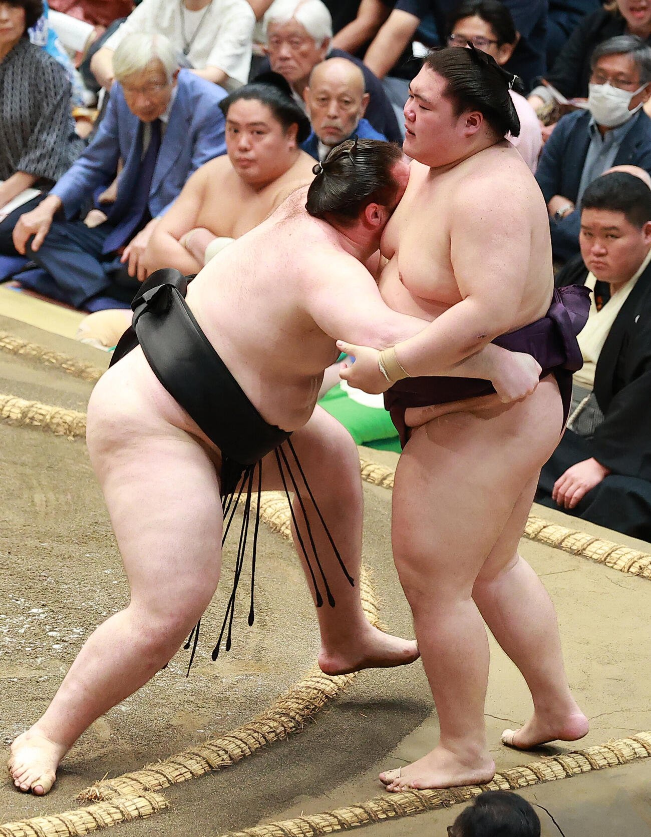 王鵬（右）を寄り切りで破る獅司（撮影・中島郁夫）