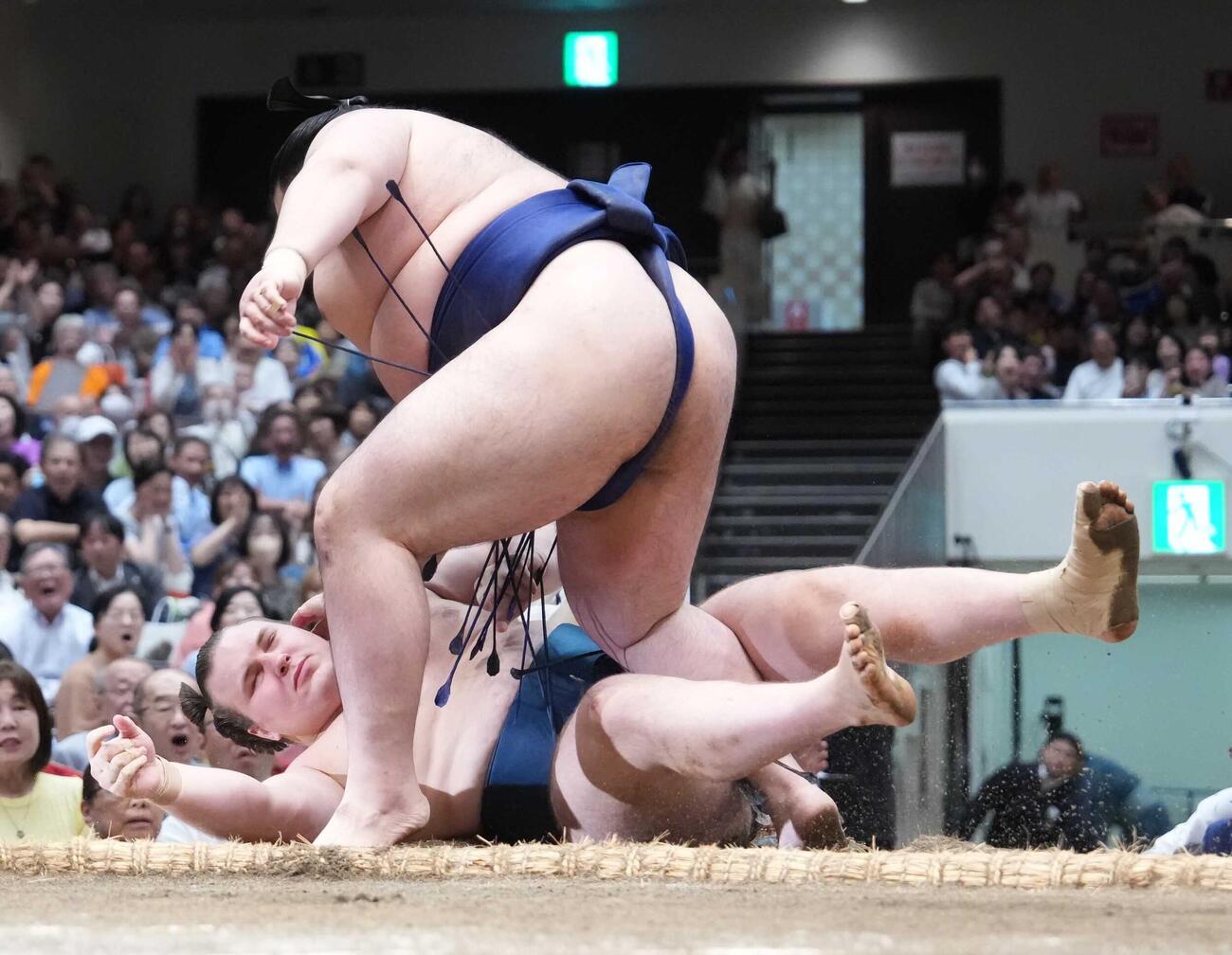 安青錦は豪ノ山（手前）に押し倒しで敗れる（撮影・小沢裕）