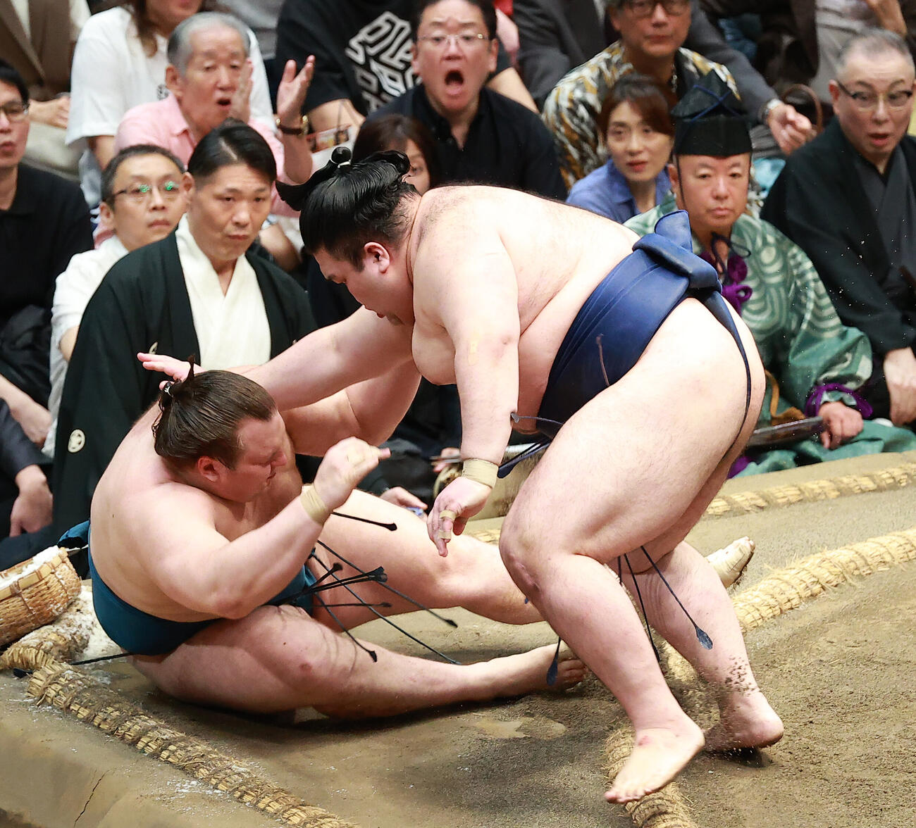 安青錦（左）を押し倒しで破る豪ノ山（撮影・中島郁夫）