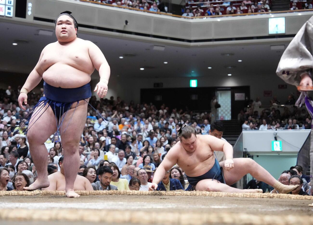 安青錦は豪ノ山（左）に押し倒しで敗れる（撮影・小沢裕）