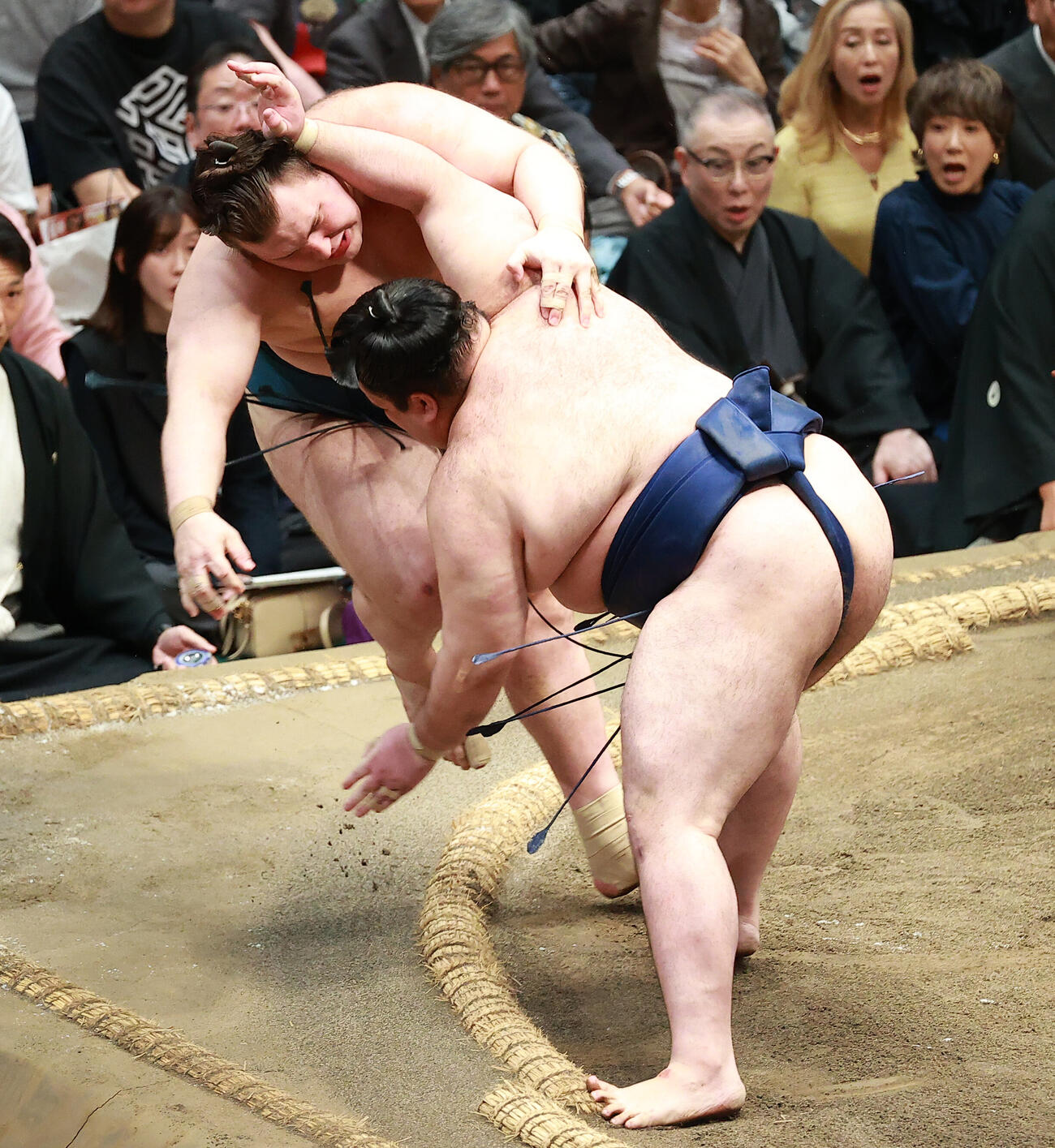 安青錦（左）を押し倒しで破る豪ノ山（撮影・中島郁夫）