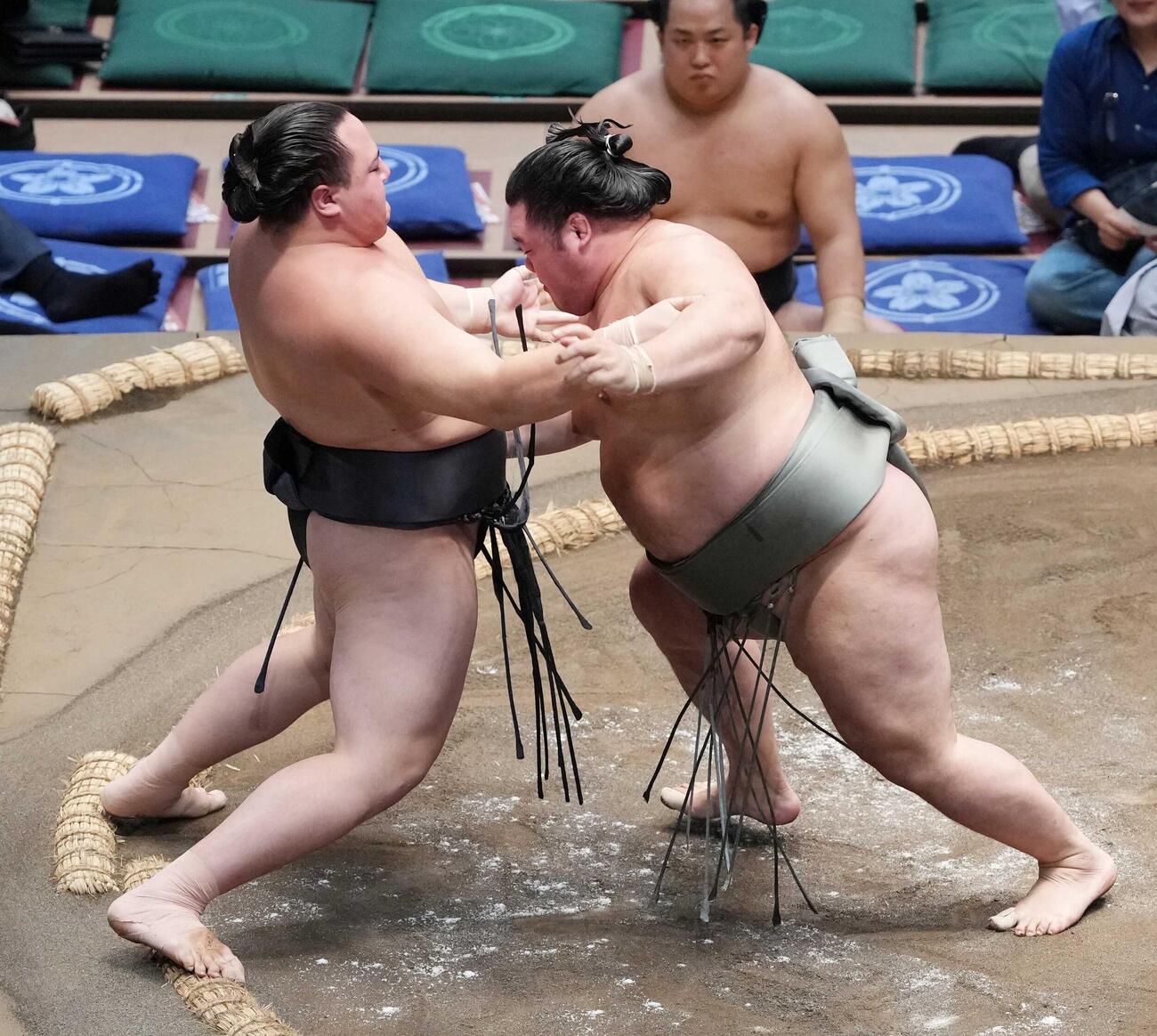明生（右）に土俵際へ追い詰められる丹治（撮影・小沢裕）