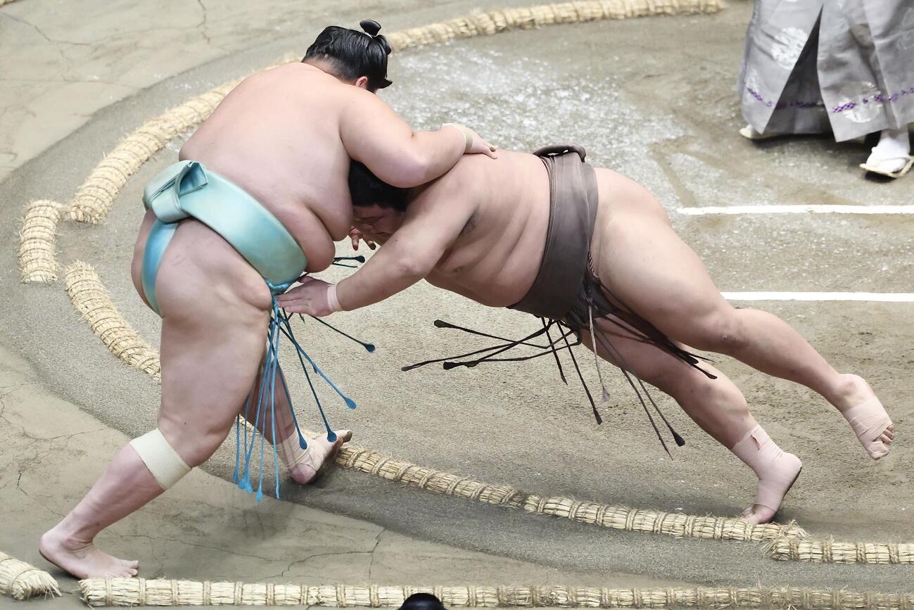 琴桜（左）を押し出しで破る伯乃富士（撮影・河田真司）