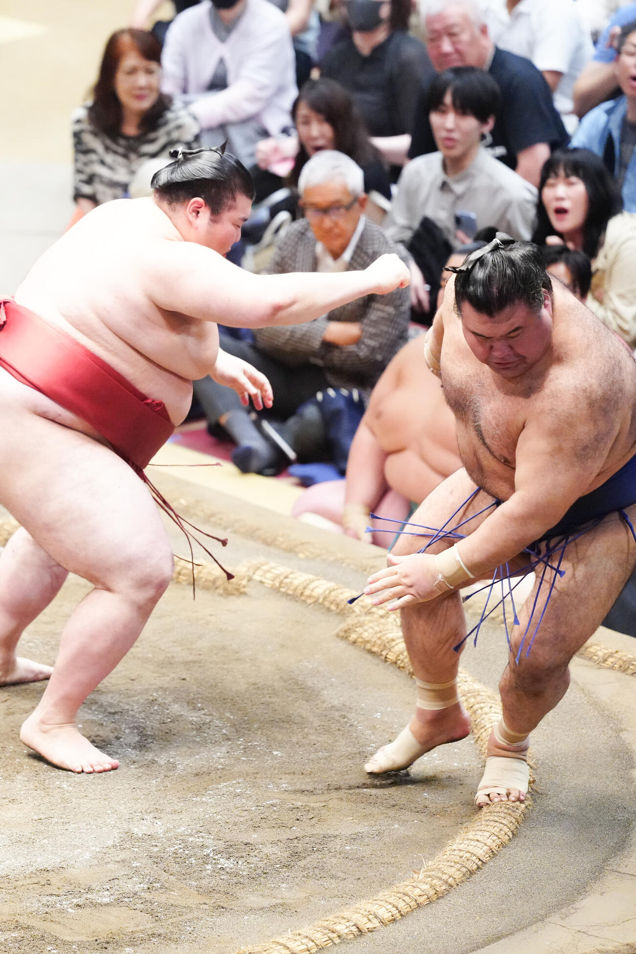 高安（右）を押し倒しで破る熱海富士（撮影・江口和貴）