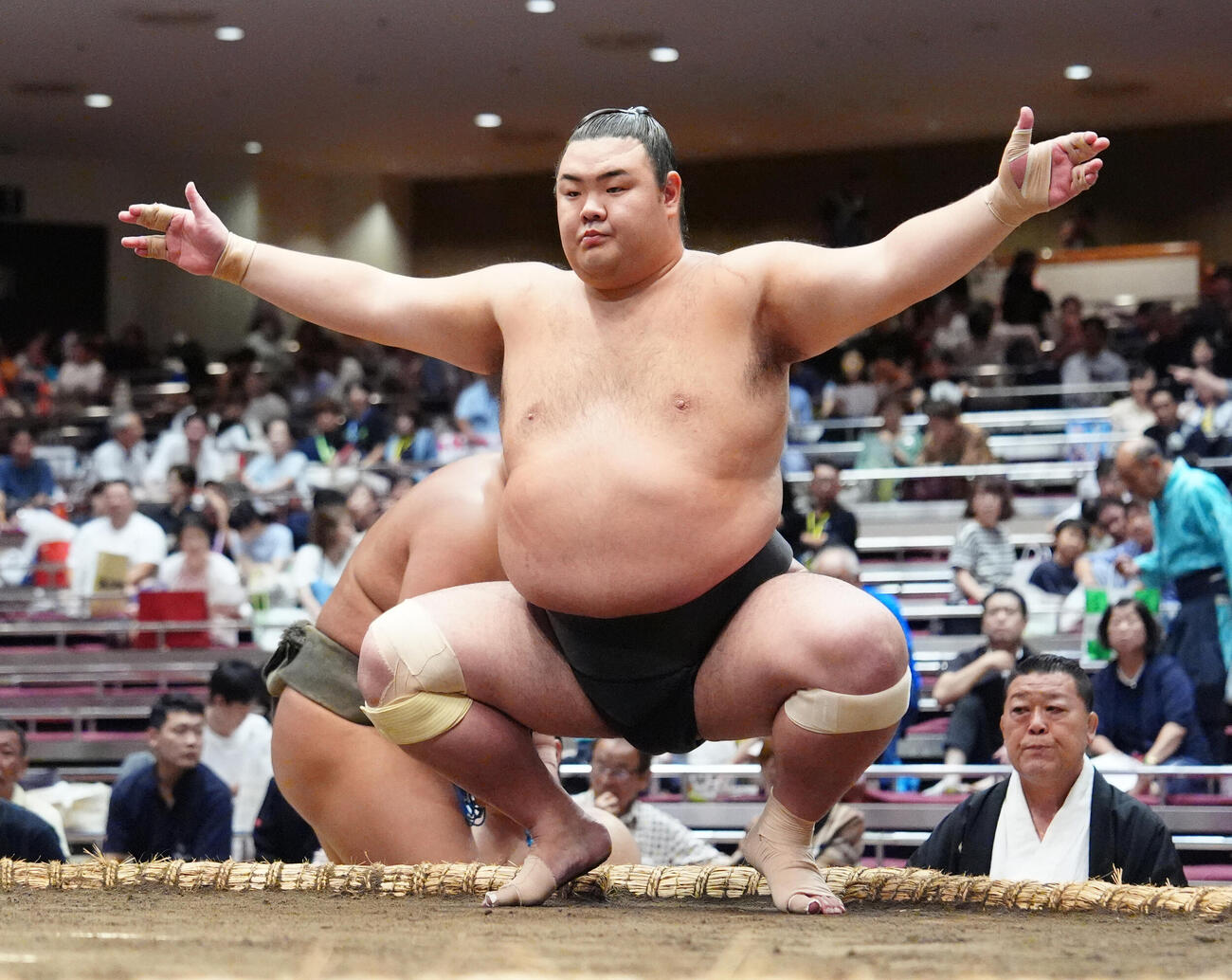 阿武松部屋の土佐緑（2025年撮影）