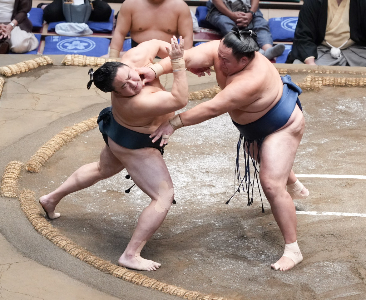 玉鷲（右）は佐田の海を押し出しで下す（撮影・小沢裕）