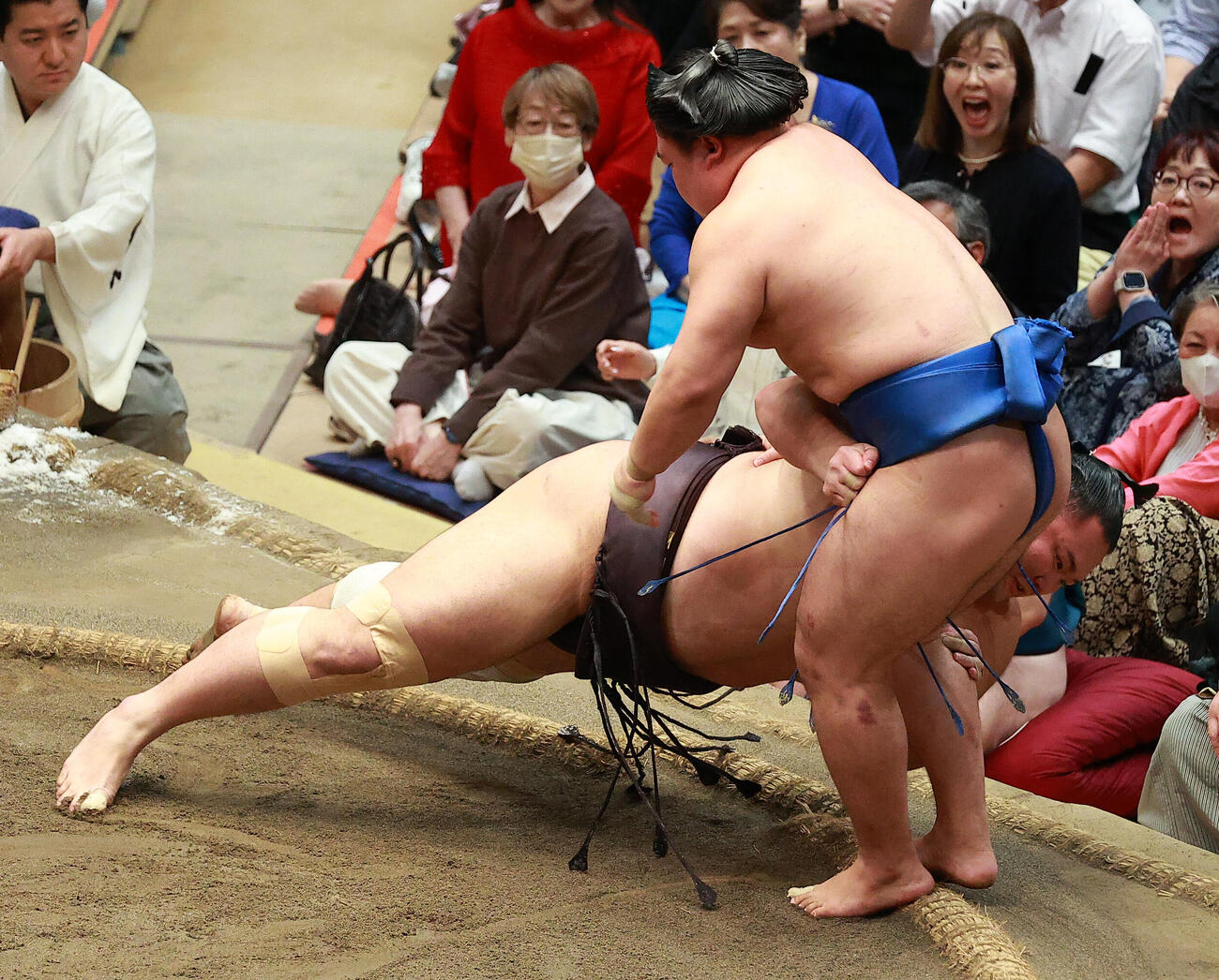 朝乃山（下）を突き落としで破る藤ノ川（撮影・中島郁夫）