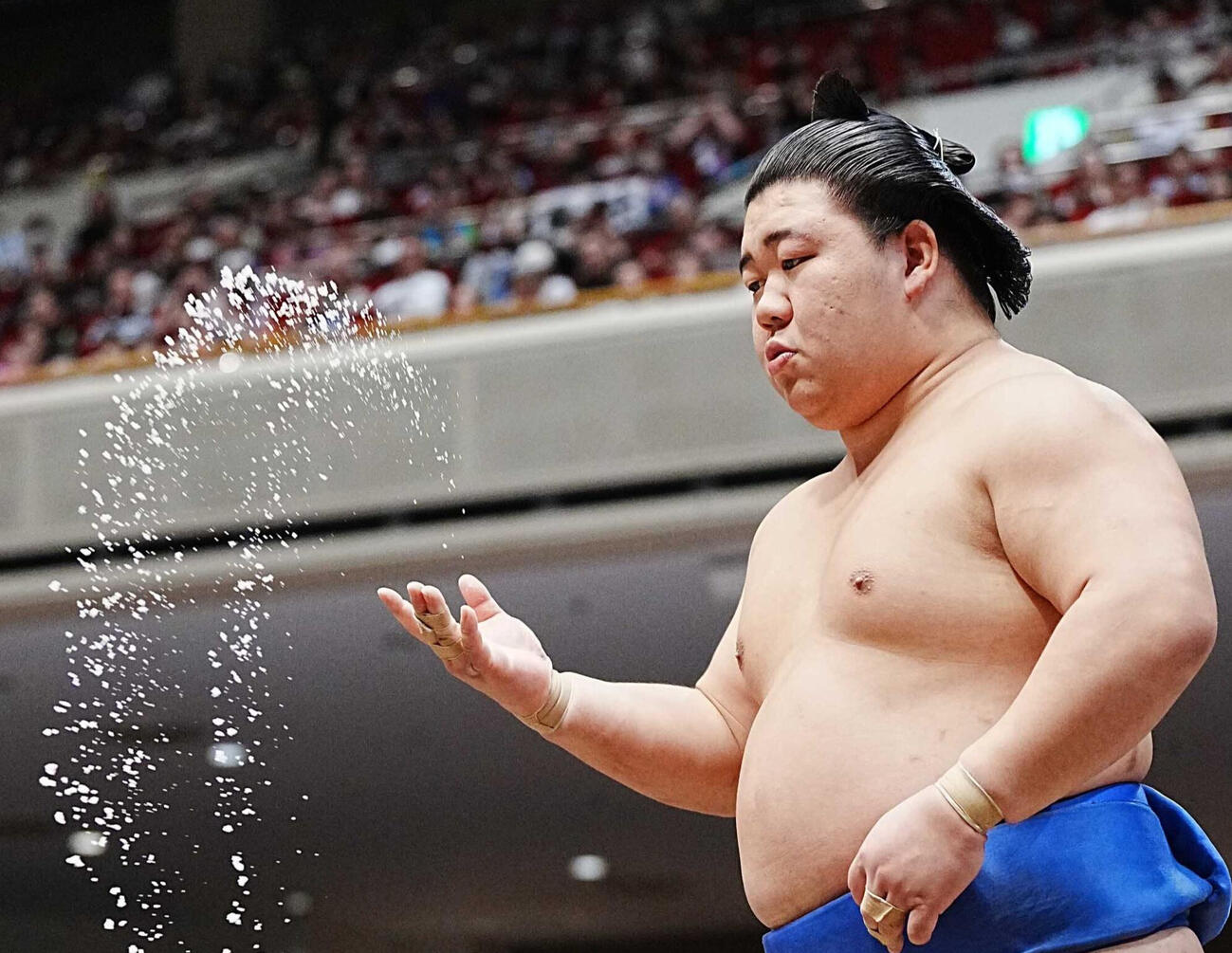 藤ノ川（2026年9月17日撮影）