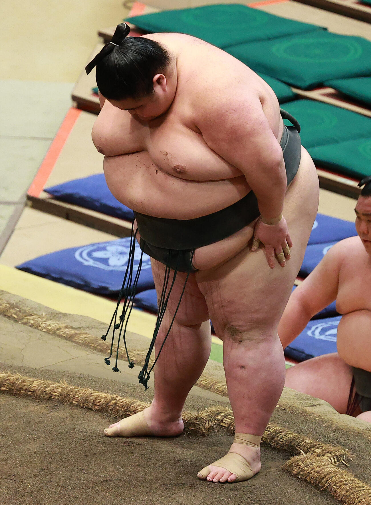 一礼する柏王丸（撮影・中島郁夫）