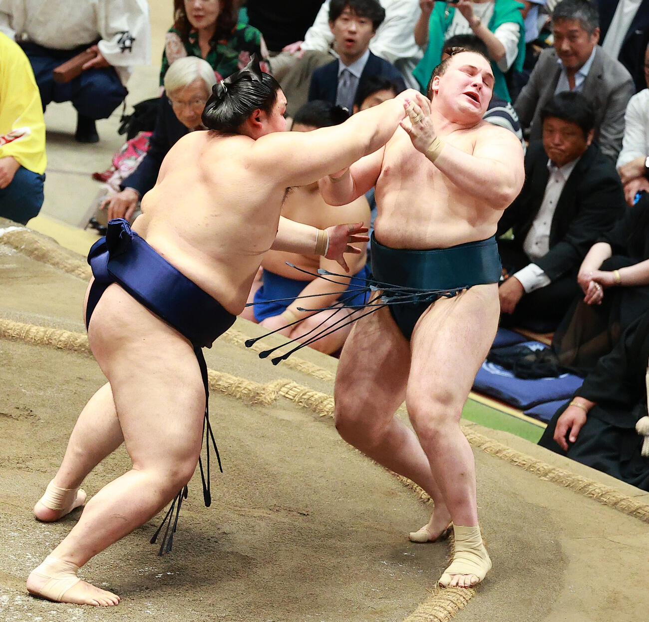 安青錦（右）を突き出しで破る大の里（撮影・中島郁夫）