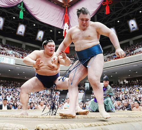 木村庄之助が大の里－安青錦の相星決戦で定年前最後の一番、目立つこと