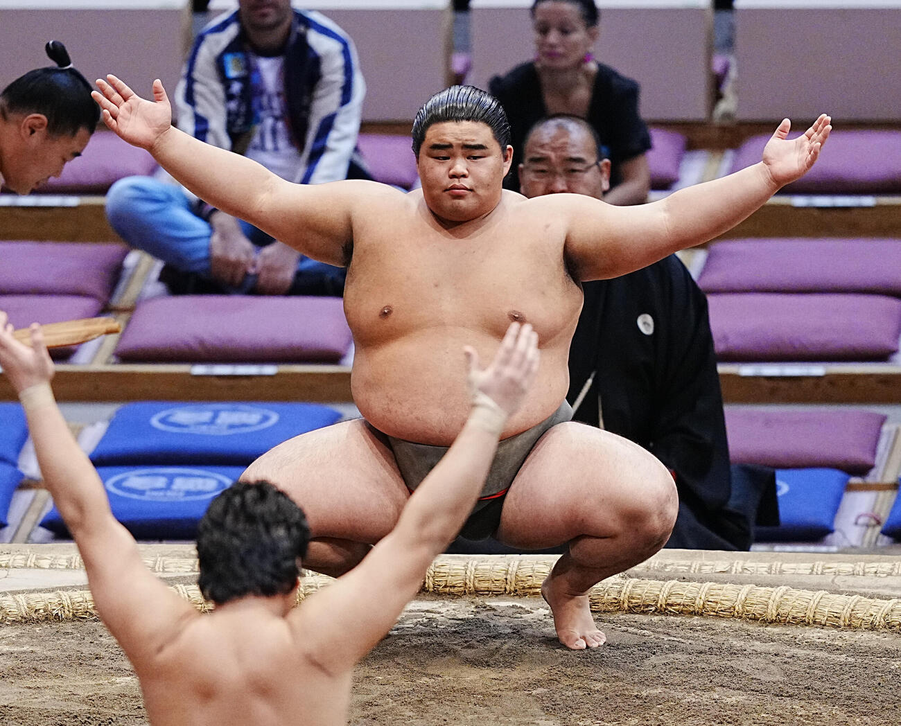 竜鳳（2025年撮影）