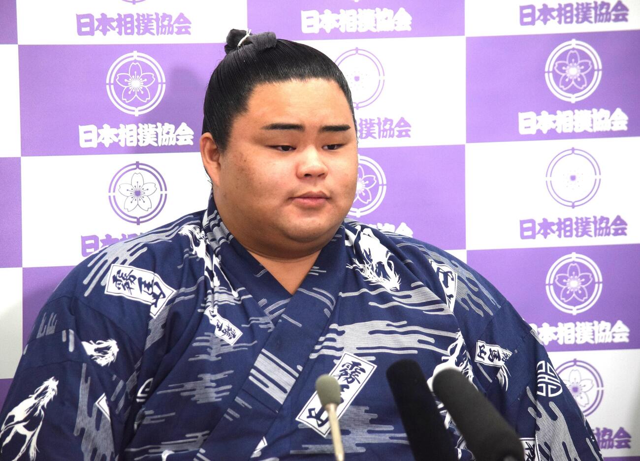 会見で質問に答える竜鳳