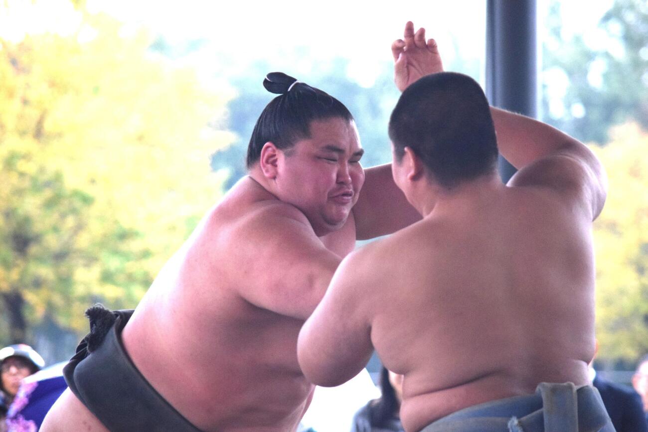 高校生と稽古をする旭富士