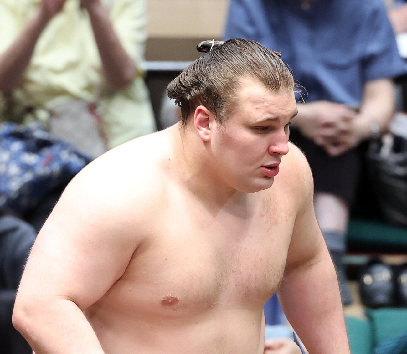 秋場所11勝4敗の安青錦