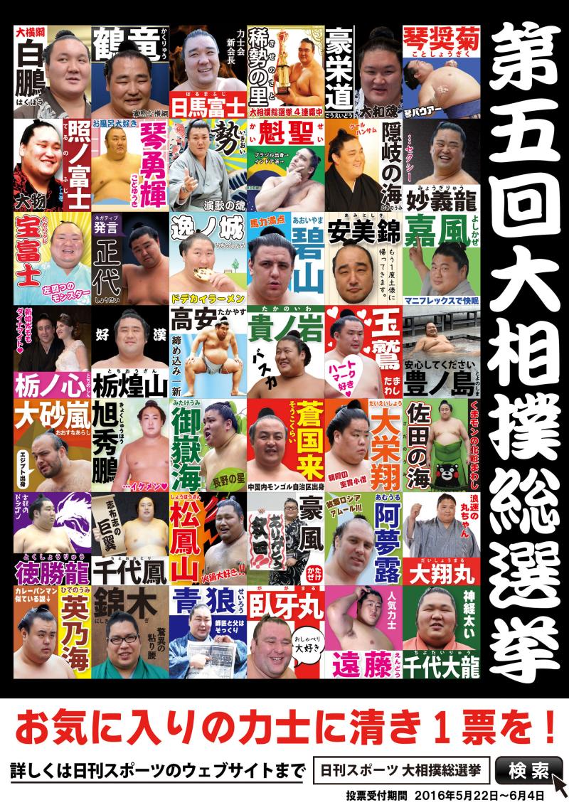 幕内全力士 パーフェクト情報 相撲ファン必見の最新データと分析｜趣味 