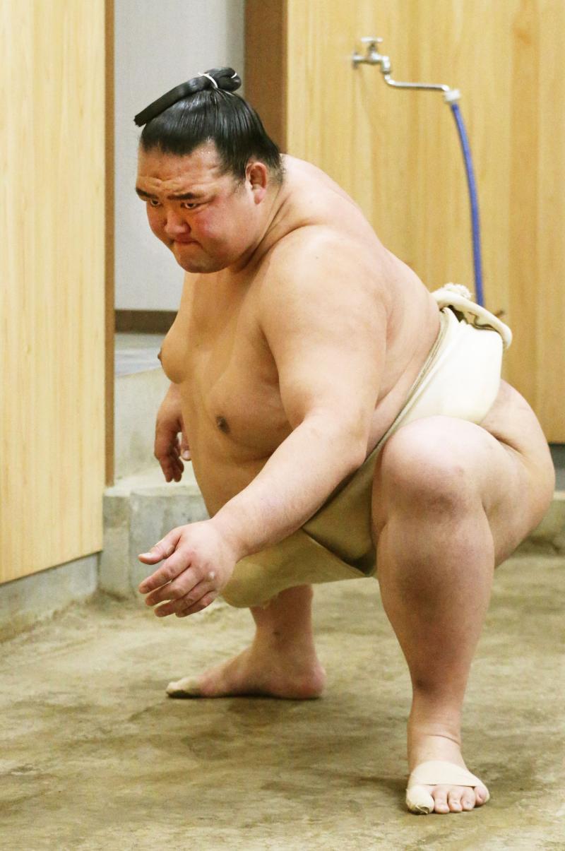 稀勢の里 初代若乃花も愛していた 連載 大相撲 日刊スポーツ