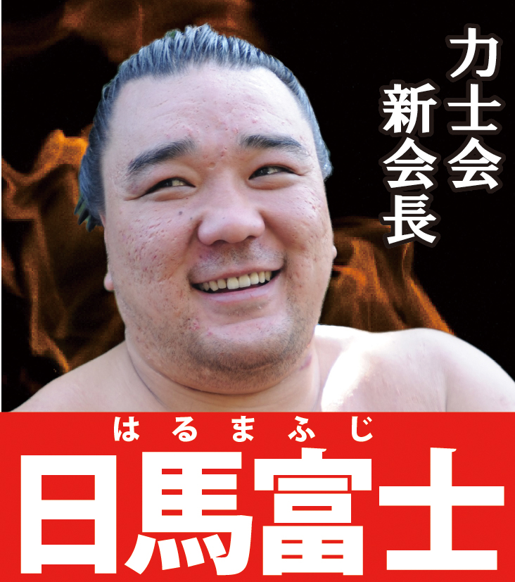 日馬富士２位 不屈の姿が女性を虜に 大相撲総選挙 大相撲 日刊スポーツ